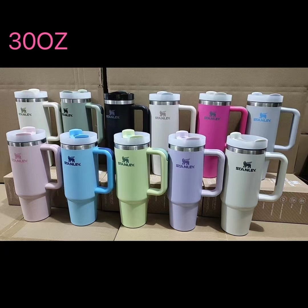 40oz Stanley Matte macaron colors flip straw school tumblers