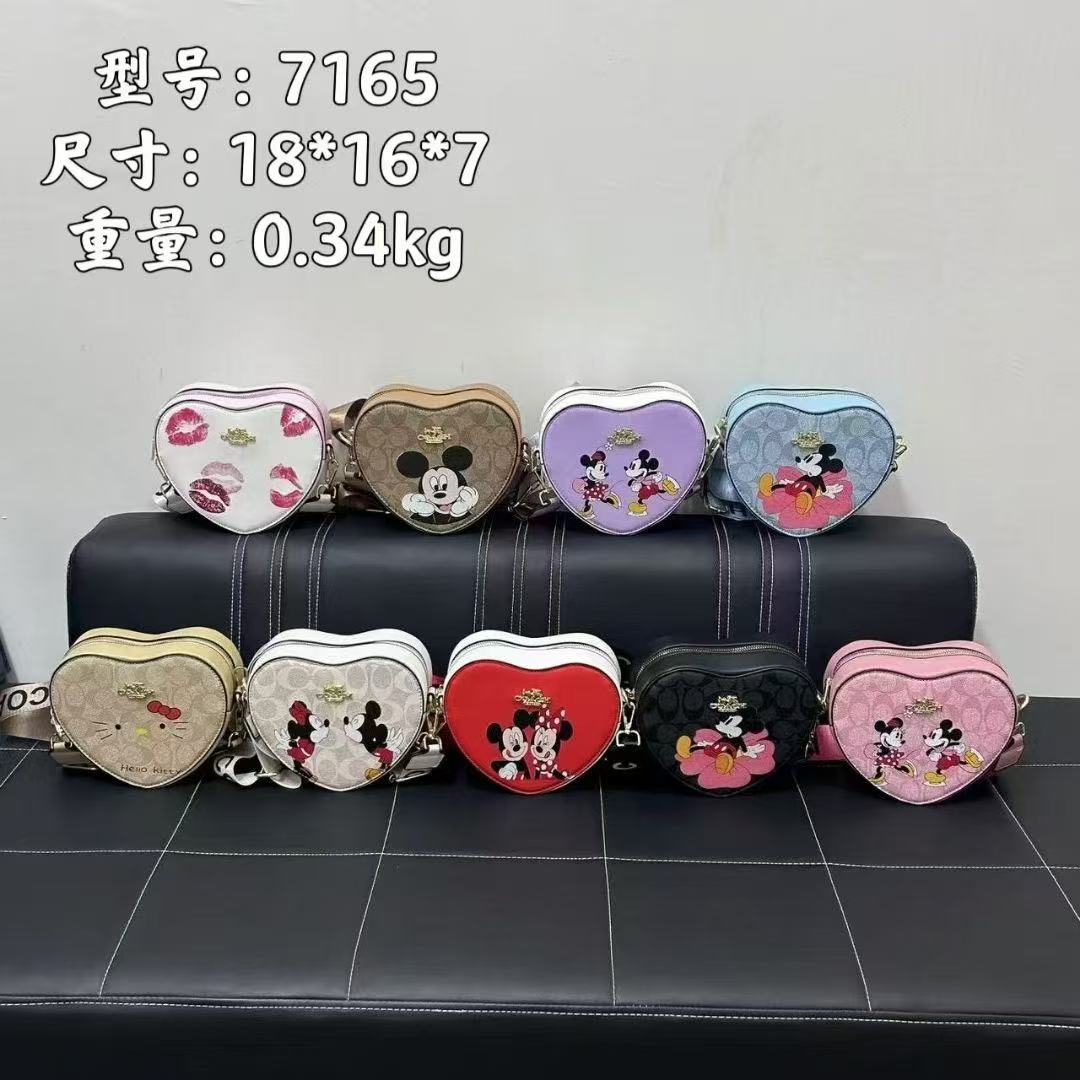 Cute Coach Bags-As Pic