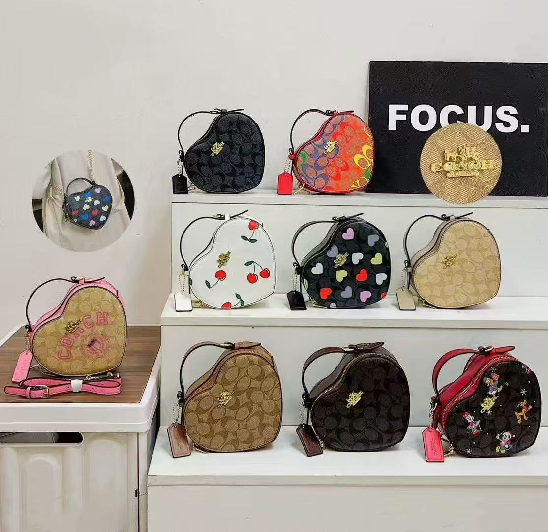 Cute Coach Bags-As Pic