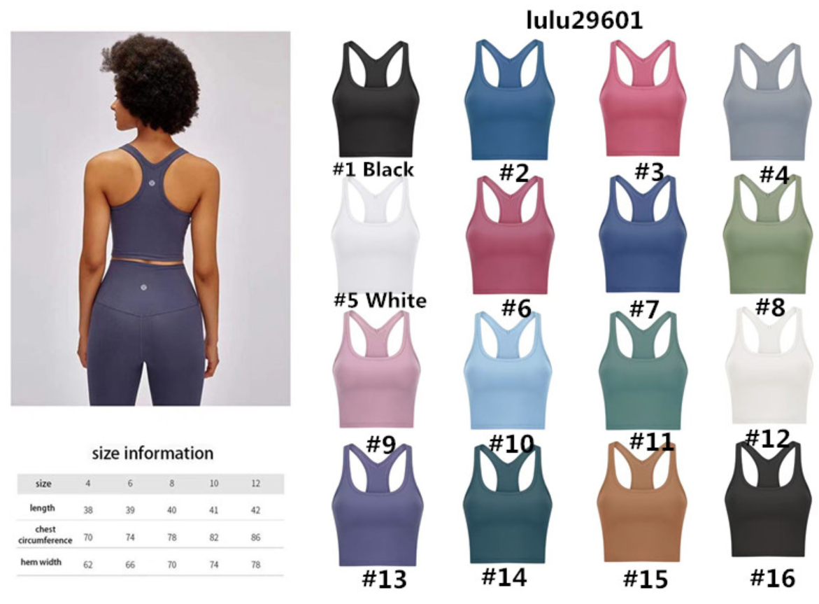 1pc bag & 26pcs clothing, 27pcs lulu products by sea